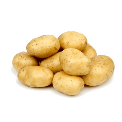 [SJ0153] PAPAS SELECTA LB